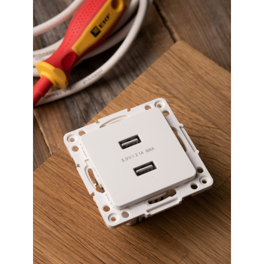 Стокгольм Механизм Розетки USB 2-местной 2,1А винтовые клеммы белый EKF PROxima