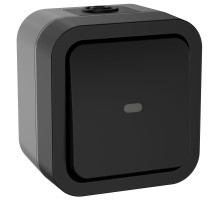 IEK TORS Переключатель однокл. с ин. 10А IP55 TS102 графит