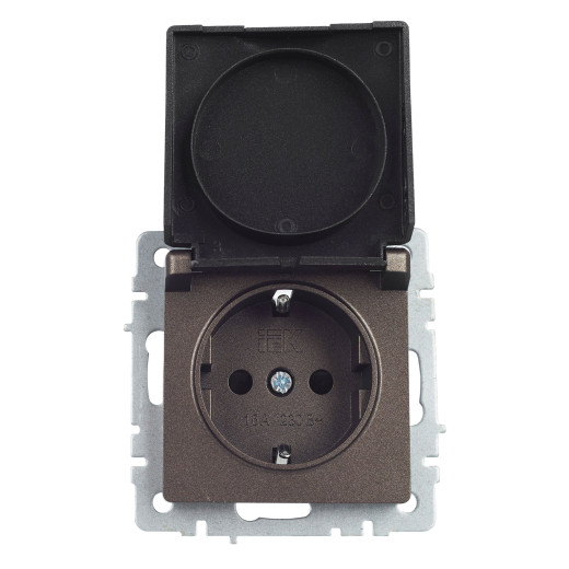 BRITE Роз. с з/к/ш с кр. 16А IP44 РСбш10-3-44-БрТБ бр. IEK