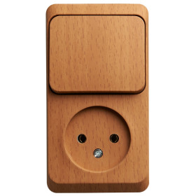 Systeme Electric Этюд наруж Бук Блок: Розетка б/з + выключатель 1-клавишный