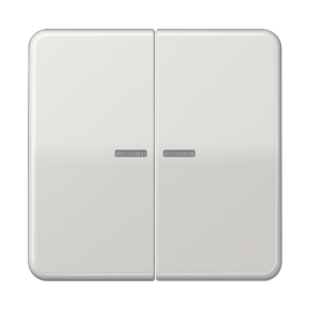 JUNG CD Светло-серая Клавиша 2-ая с/п ударопрочная