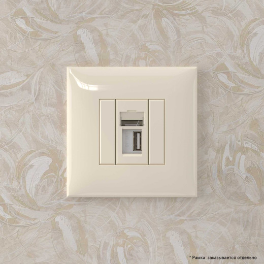 USB 2.0 розетка одинарная в стену, тип А-А, Avanti, ванильная дымка