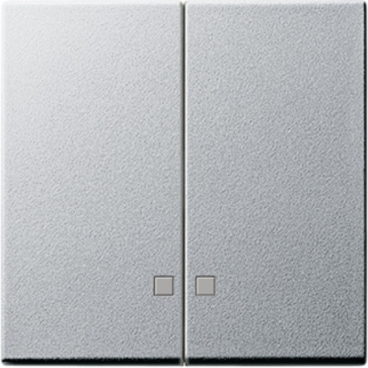 Накладка двухклавишная с контрольными окнами