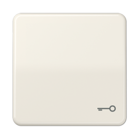 JUNG CD Бежевая Клавиша для 1-ая с символом КЛЮЧ ударопрочная