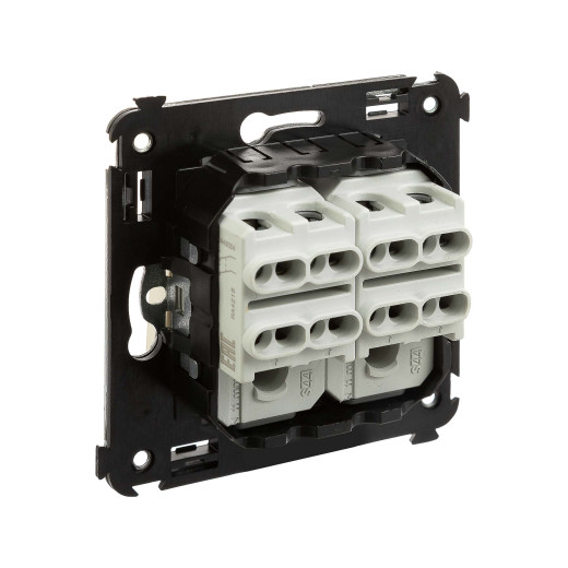 Инвертор двухклавишный в стену, Avanti, ванильная дымка