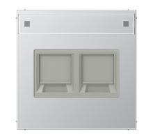 JUNG Плата (фиксация защёлкиванием) с полем для надписи для двух модулей металл алюминий