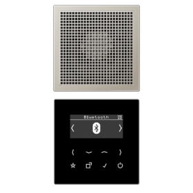 JUNG Цифровое радио DAB + с поддержкой Bluetooth, нержавеющая сталь