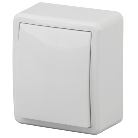 ЭРА Переключатель Эксперт 11-1203-01 10АХ-250В IP20 ОУ белый