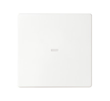 Simon S82 Concept Матовый белый, Клавиша для выключателя S77 с подсветкой