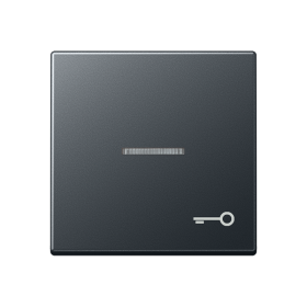 JUNG Клавиша с символом двери с подсветкой, матовый антрацит