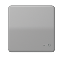 JUNG CD 500/CD plus Серая Клавиша 1-ая с символом КЛЮЧ