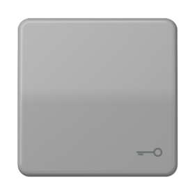 JUNG CD 500/CD plus Серая Клавиша 1-ая с символом КЛЮЧ