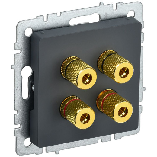 BRITE Аудиорозетка 4-мест. РА10-БрГ граф. IEK