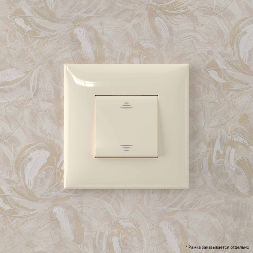 Переключатель одноклавишный в стену, Avanti, ванильная дымка