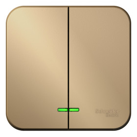 Systeme Electric Blanca наруж Титан Выключатель 2-клавишный с подсветкой, 10А, 250B