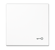 JUNG LS 990 Белая Клавиша 1-ая с символом КЛЮЧ