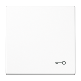 JUNG LS 990 Белая Клавиша 1-ая с символом КЛЮЧ