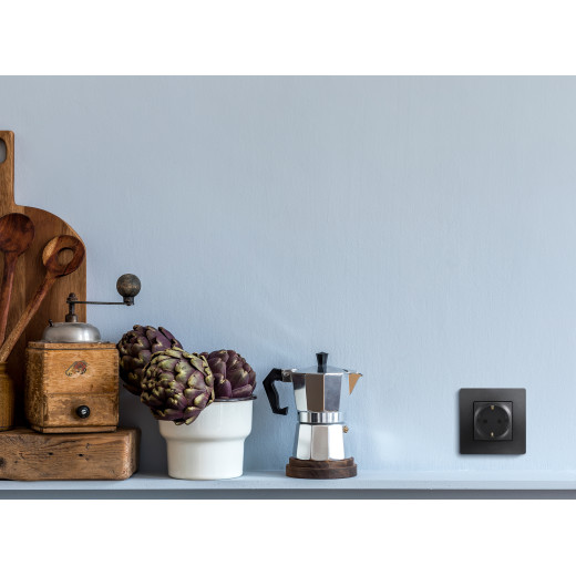 Розетка с заземлением - Legrand Etika - со шторками 16А 250В винтовые зажимы - антрацит