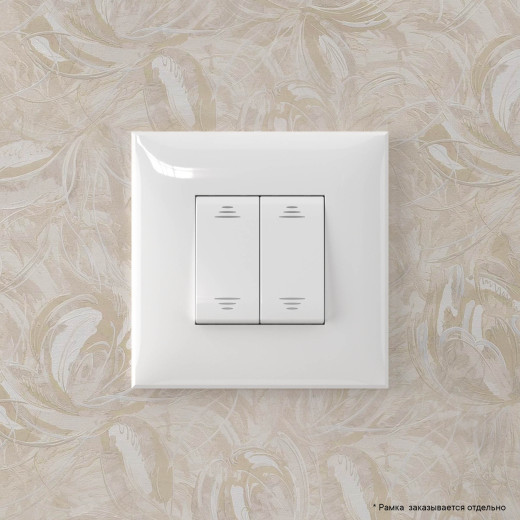 Инвертор двухклавишный в стену, Avanti, белое облако