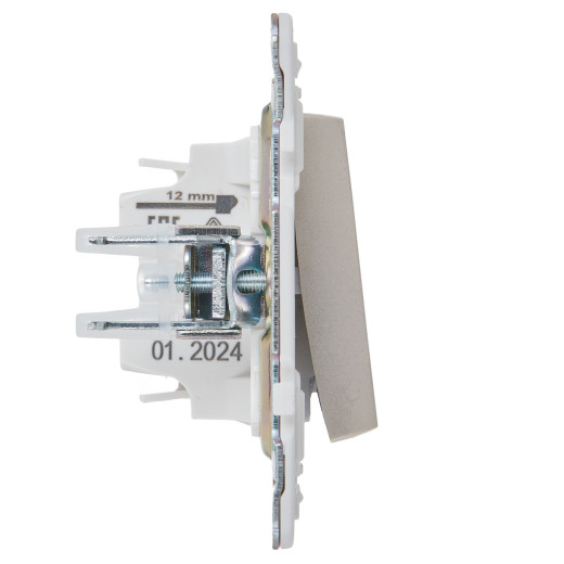 SKANDY Выключ. 1-кл. с инд. 10А SK-V07Sh шамп. IEK