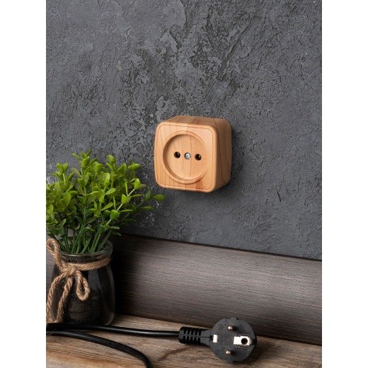 Розетка 1-местная ОП Минск 10А без заземления светлое дерево EKF