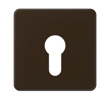 JUNG центральная плата для вставки с ключом, коричневый