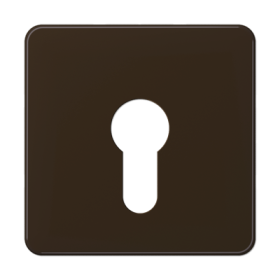 JUNG центральная плата для вставки с ключом, коричневый