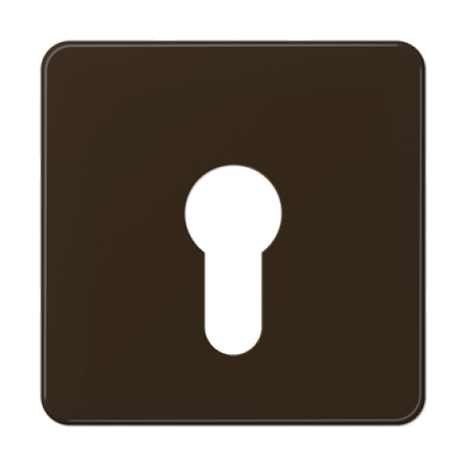 центральная плата для вставки с ключом