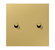 JUNG Центральная плата, 1 пост, 2 тумблера, цилиндр с окошком металлическое исполнение латунь классик серия LS