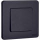 Выключатель кнопочный одноклавишный - Legrand/Daccord Inspiria - с нормально-открытым контактом 6А 250В безвинтовые зажимы - антрацит