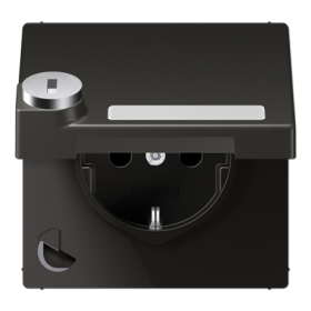 JUNG SCHUKO розетка с крышкой и полем для надписи, антрацит