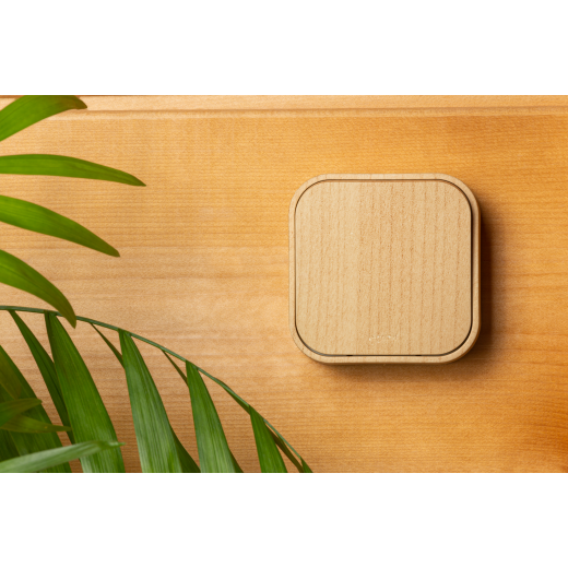 Переключатель одноклавишный - Legrand Quteo - IP20 10А 250В винтовые зажимы накладной монтаж - дерево