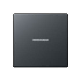 JUNG Матовый Антрацит Клавиша с окошком; термопласт