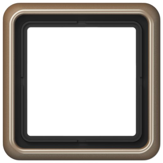 Рамка для вертикальной и горизонтальной установки, 1 пост, металл, золотая бронза, CD500