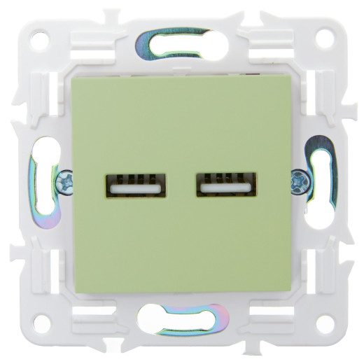 SKANDY Роз. USB A+A 3,1А SK-R15M мятн. IEK