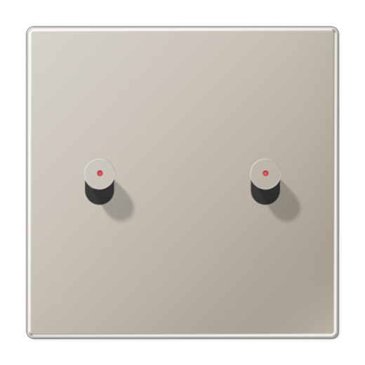 Центральная плата, 1 пост, 2 тумблера, конус с окошком, металлическое исполнение, нержавеющая сталь, серия LS