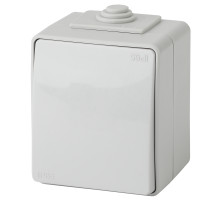 ЭРА Переключатель Эксперт 11-1603-03 IP65 10АХ-250В ОУ серый