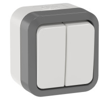 IEK TORS Выключ. двухкл. прох. 10А IP55 TS225 сер-бел