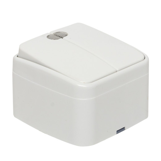 Минск Выключатель 2-клавишный ОП 10А с индикатором белый EKF Basic