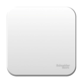Systeme Electric Blanca наруж Бел Выключатель 1-клавишный 10А, 250B, монтажная пластина