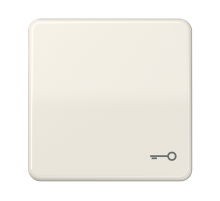 JUNG CD 500/CD plus Бежевая Клавиша 1-ая с символом КЛЮЧ