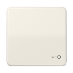 JUNG CD 500/CD plus Бежевая Клавиша 1-ая с символом КЛЮЧ