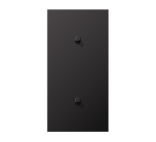 JUNG LS1912 Dark Центральная плата, 2 поста, для вертикальной установки, тумблеры 1+1,цилиндр; метал. исполнение
