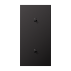 JUNG LS1912 Dark Центральная плата, 2 поста, для вертикальной установки, тумблеры 1+1,цилиндр; метал. исполнение