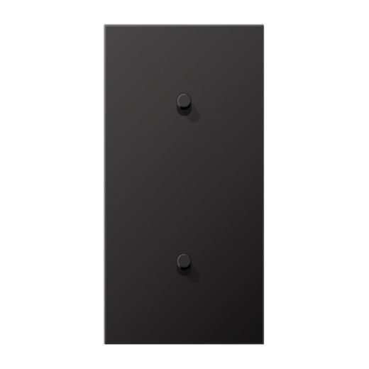 Центральная плата, 2 поста, для вертикальной установки, тумблеры 1+1,цилиндр, металлическое исполнение, Dark, серия LS