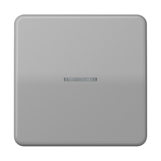 Клавиша с окошком для выключателя и кнопки с подсветкой, серая