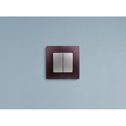 Выключатель двухклавишный - Legrand Etika - 10А 250В безвинтовые зажимы - алюминий