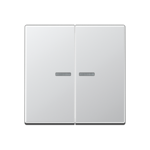 Двойная клавиша с окошками для балансирных механизмов выключателей (кнопок), в комплекте с AS90-5HP (крепежный элемент), возможно IP44, дюропласт, алюминий, A500