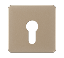 JUNG центральная плата для вставки с ключом, золотая бронза