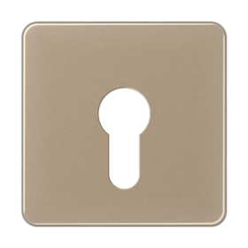 JUNG центральная плата для вставки с ключом, золотая бронза